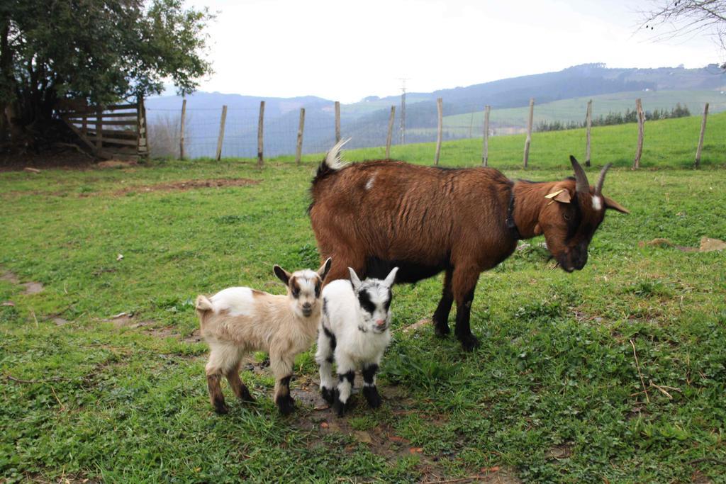 Casa Rural Ecologica Arrizurieta Bermeo Esterno foto